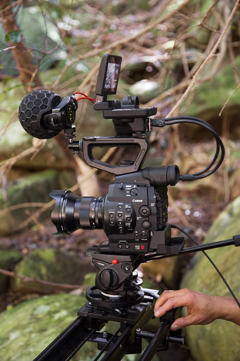 Rode Stereo VideoMic X (SVMX) - Broadcast-Grade Stereo On-Camera 